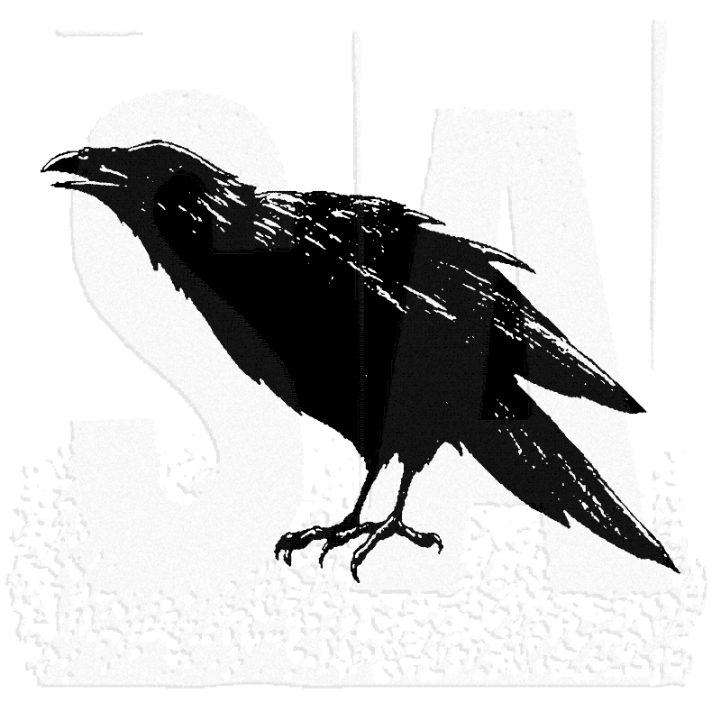 800x800 Tim Holtz Wood Mounted Stamp - Raven Sketch