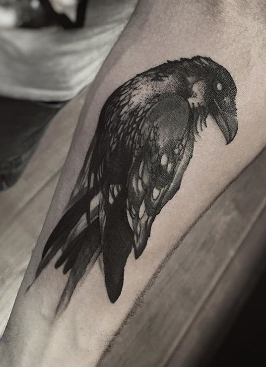 536x740 Phellipe Rodrigues Raven Tattoo - Raven Tattoo Sketch