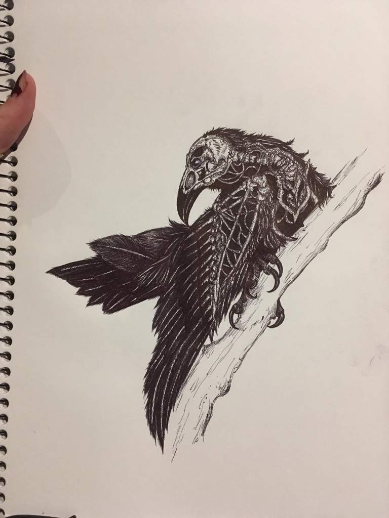 768x1024 Raven Tattoo Art Amino - Raven Tattoo Sketch