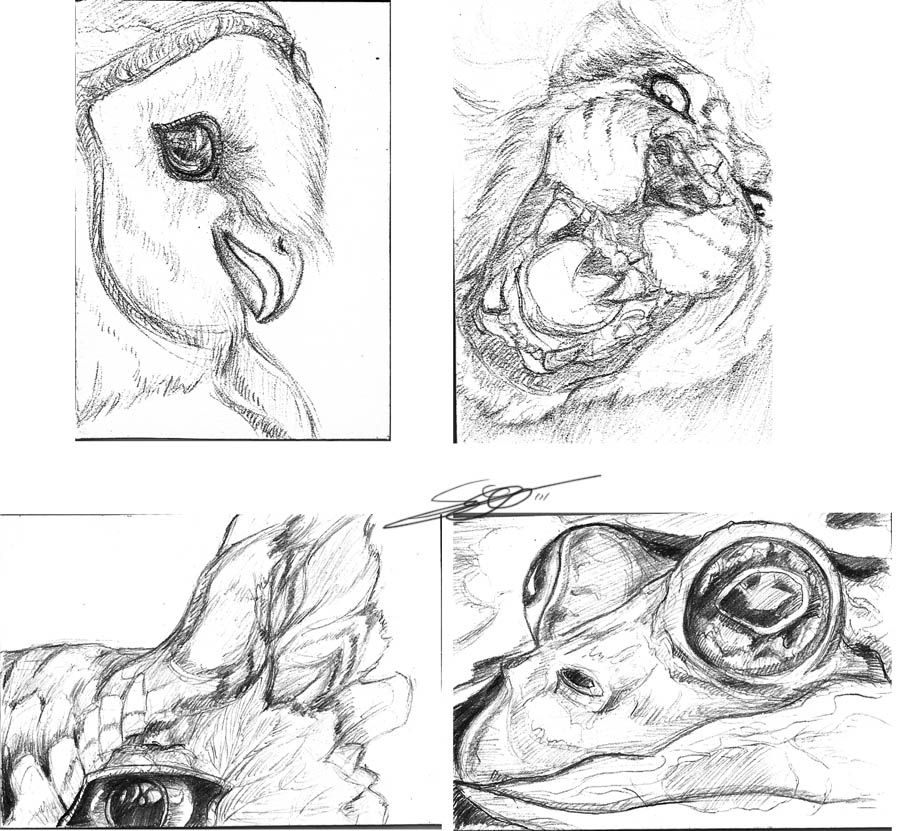 900x831 S.e.t. Studios - Raw Sketch