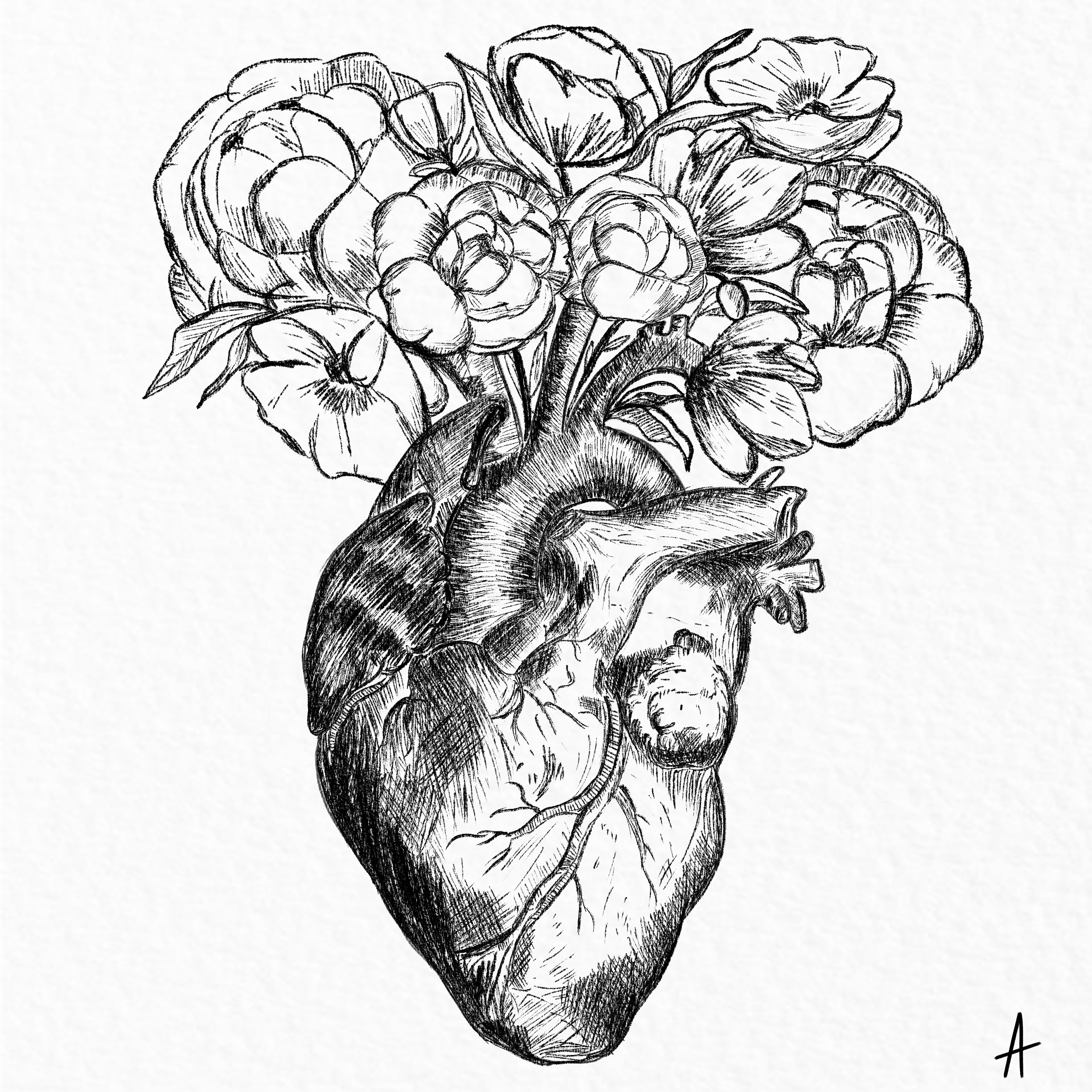 3840x3840 Avantica Hemanth - Raw Sketch