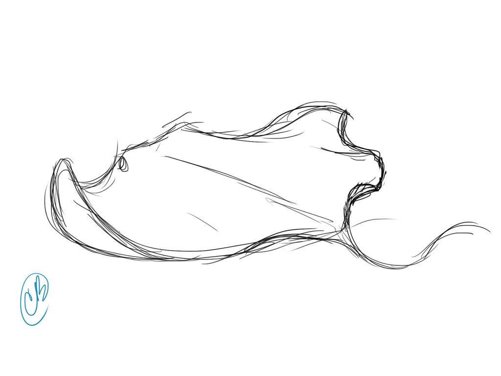 1024x768 Ray Sketch By Ptelephant - Ray Sketch