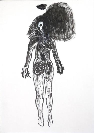 375x533 X Ray Drawing By Heather Sherratt Saatchi Art - Ray Sketch