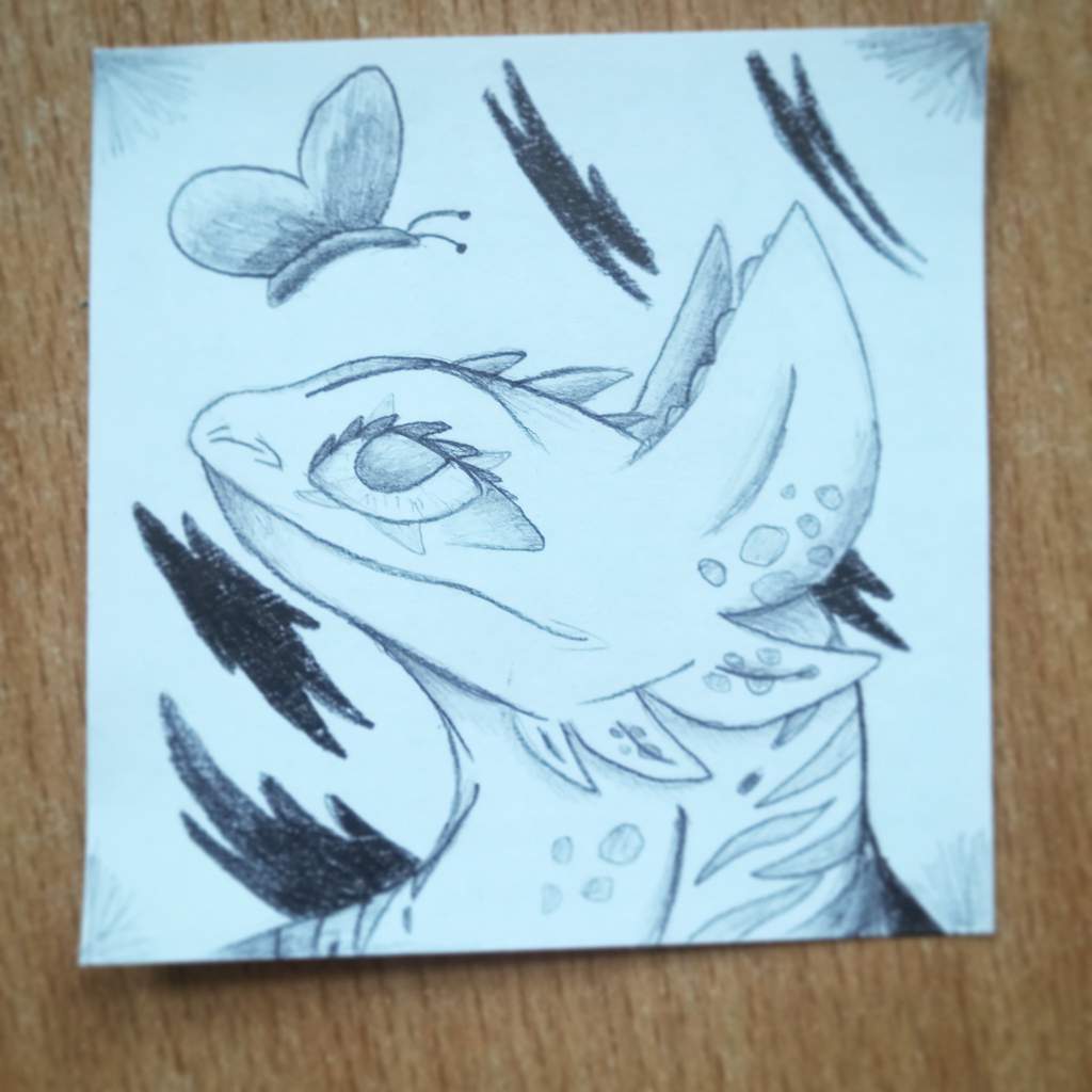 1024x1024 Razor Sketch H.t.t.y.d Amino - Razor Sketch