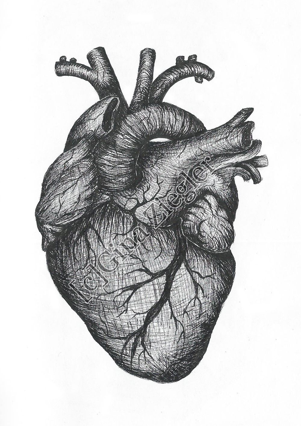 1000x1416 Real Heart - Real Heart Sketch