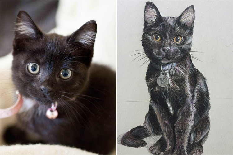 750x500 Cute Animal Drawings That Look Like Real Pets - Realistic Animal Sketches