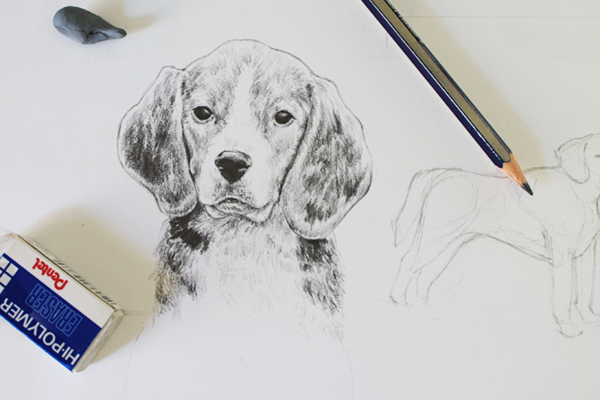 600x400 Drawing Realistic Animals How To Draw A Dog - Realistic Animal Sketches