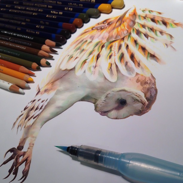 612x612 Realistic Animal Drawings Surrounded By The Tools Used To Create - Realistic Animal Sketches