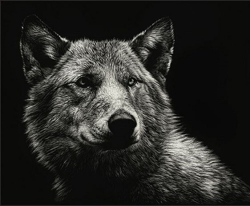 500x412 Realistic Animal Drawing By Romanian Artist Cristina Penescu (1 - Realistic Animal Sketches