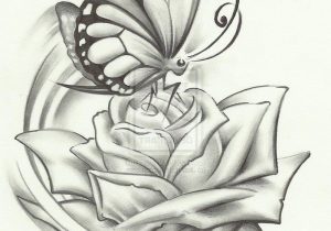 300x210 Pencil Drawing Of A Butterfly How To Draw A Realistic Butterfly - Realistic Butterfly Sketch