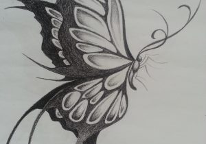 Realistic Butterfly Sketch at PaintingValley.com | Explore collection ...