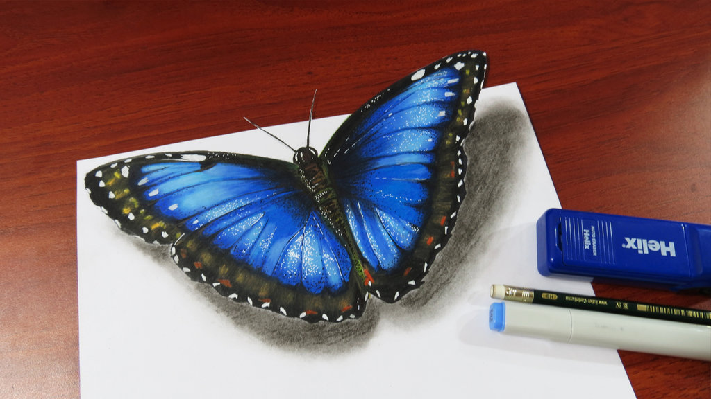 1024x576 Realistic Butterfly Drawing - Realistic Butterfly Sketch