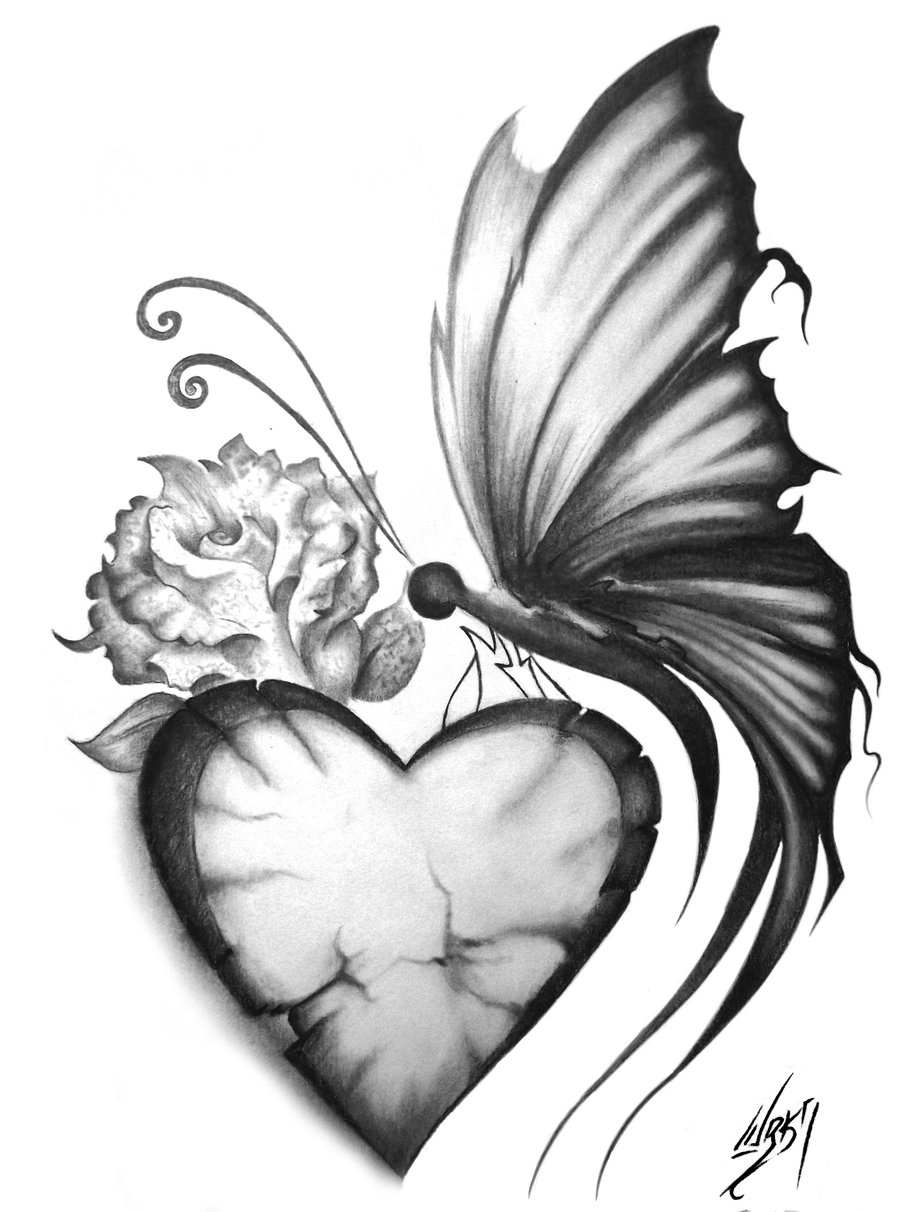 Download Pencil Realistic Butterfly Drawing