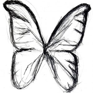300x300 Butterfly Realistic Drawing Step By Step Archives - Realistic Butterfly Sketch