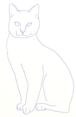 250x383 How To Draw A Realistic Cat - Realistic Cat Sketch