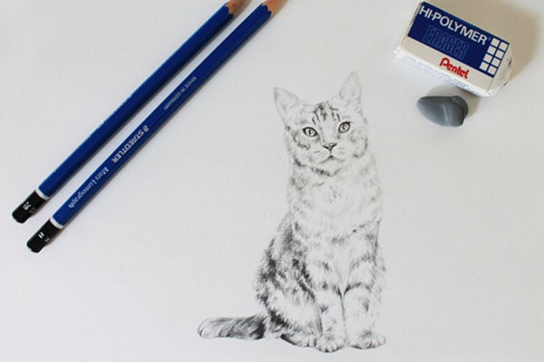 600x399 How To Draw A Realistic Cat Step By Step Tutorial - Realistic Cat Sketch