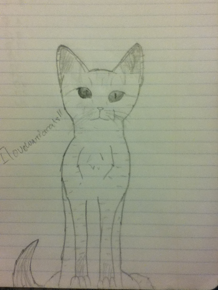 720x960 Realistic Cat Sketch By Ilovewarriorcats11 - Realistic Cat Sketch