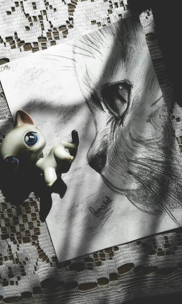 614x1024 Realistic Cat - Realistic Cat Sketch