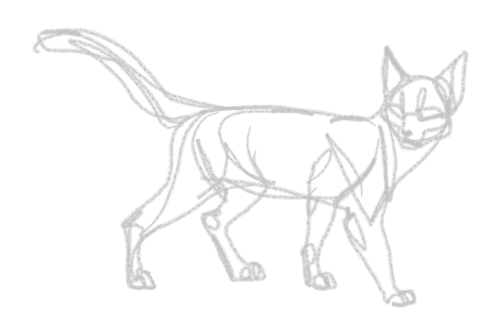 1024x677 Realistic Cat Sketch By Homeqrown - Realistic Cat Sketch