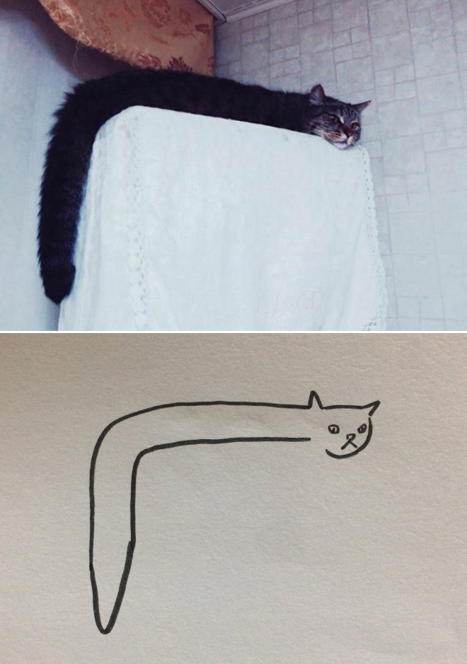 660x939 Super Realistic Drawings Of Cats - Realistic Cat Sketch