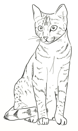 250x421 Drawn Feline Realistic Free Collection Download And Share Drawn - Realistic Cat Sketch