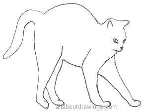 288x223 Drawn Cat Outline Drawing - Realistic Cat Sketch