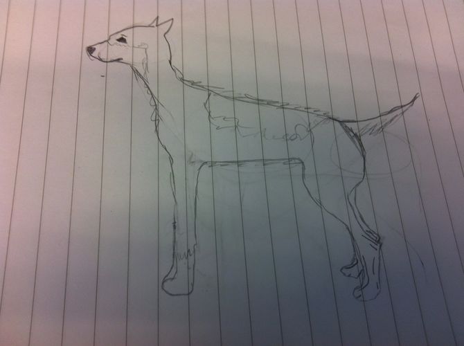 670x500 How To Draw A Realistic Dog 5 Steps (With Pictures) - Realistic Dog Sketch