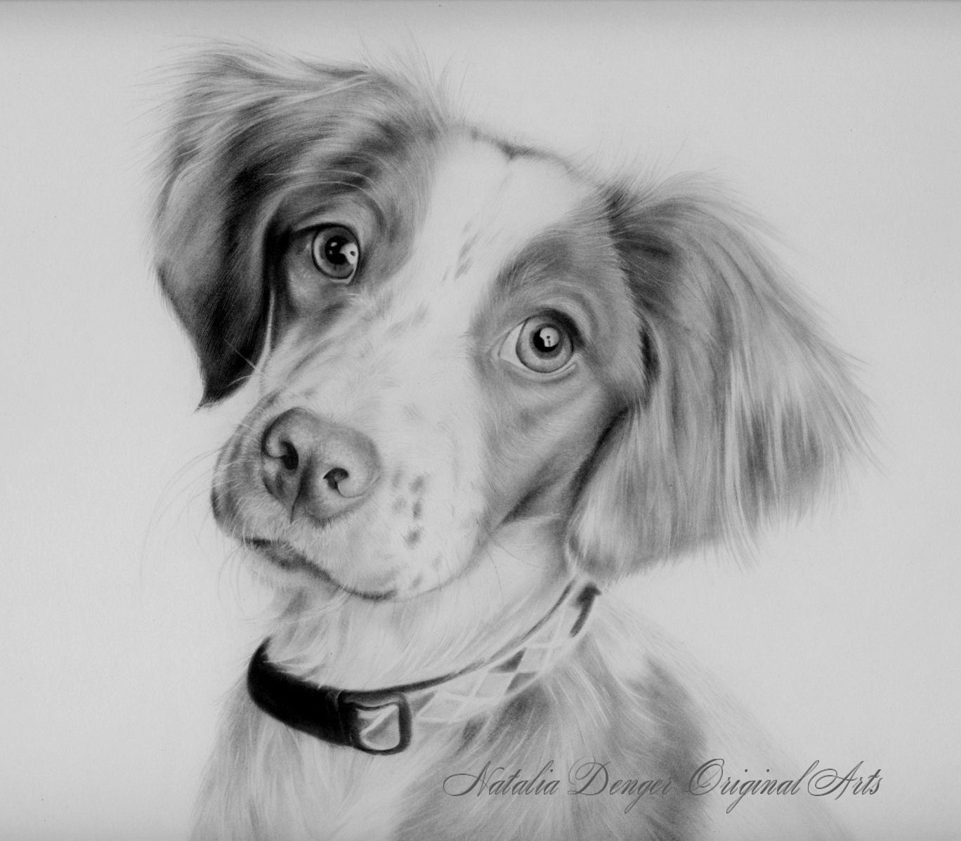 1368x1197 Pencil Sketch Of Dogs - Realistic Dog Sketch
