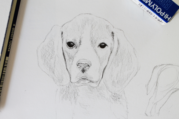 600x400 Drawing Realistic Animals How To Draw A Dog - Realistic Dog Sketch