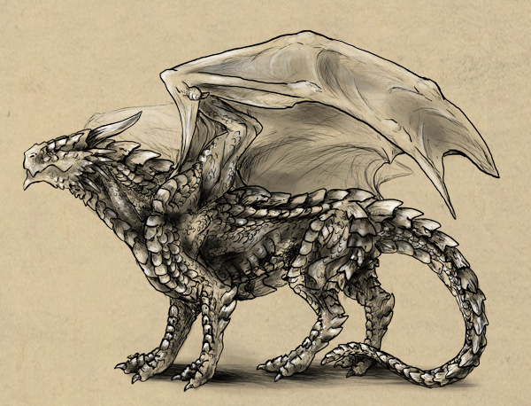 600x458 Rawr! How To Draw An Anatomically Correct Dragon - Realistic Dragon Sketch