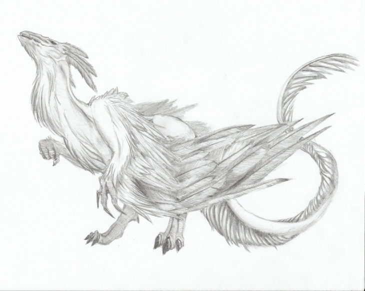 730x582 Realistic Dragon Drawings Design Trends - Realistic Dragon Sketch