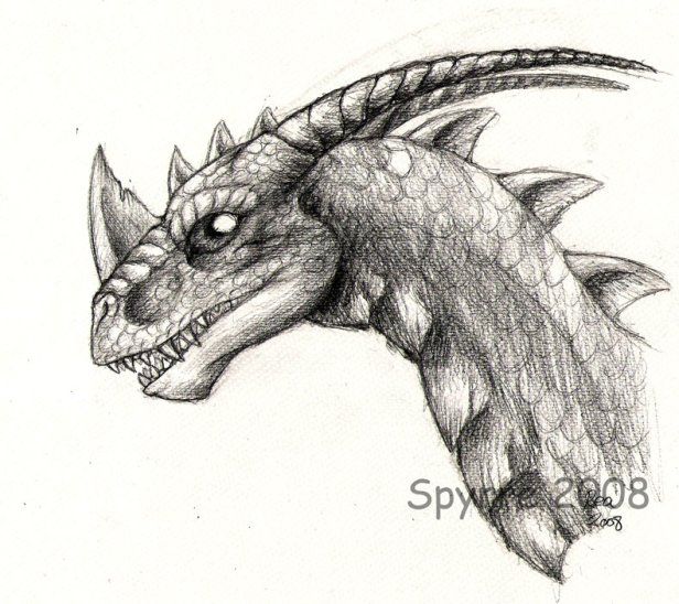 616x548 Sketch Realistic Dragon, Rea (Spyrre) Karjalainen, Scifi Fantasy - Realistic Dragon Sketch