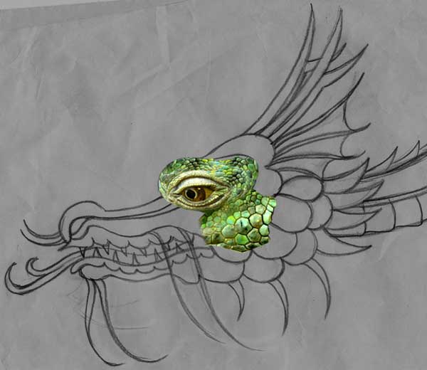 600x520 Turn An Illustration Into A Realistic Dragon Photoshop Tutorial - Realistic Dragon Sketch