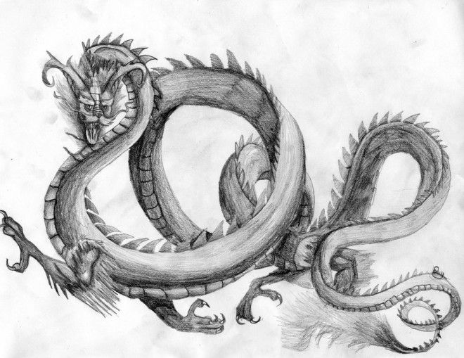 660x509 Dragon Drawings - Realistic Dragon Sketch