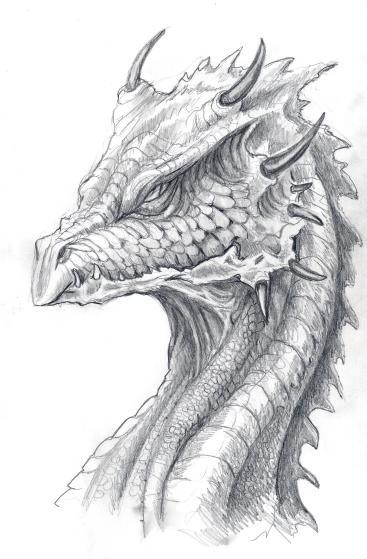 Realistic Dragon Sketch at PaintingValley.com | Explore collection of ...