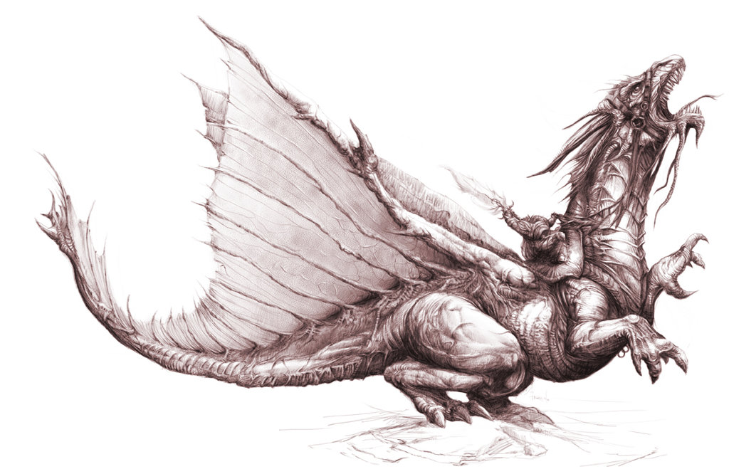 1024x666 Dragon And King - Realistic Dragon Sketch