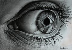 236x165 80 Best Drawing Realistic Eyes Images Pencil - Realistic Eye Sketch