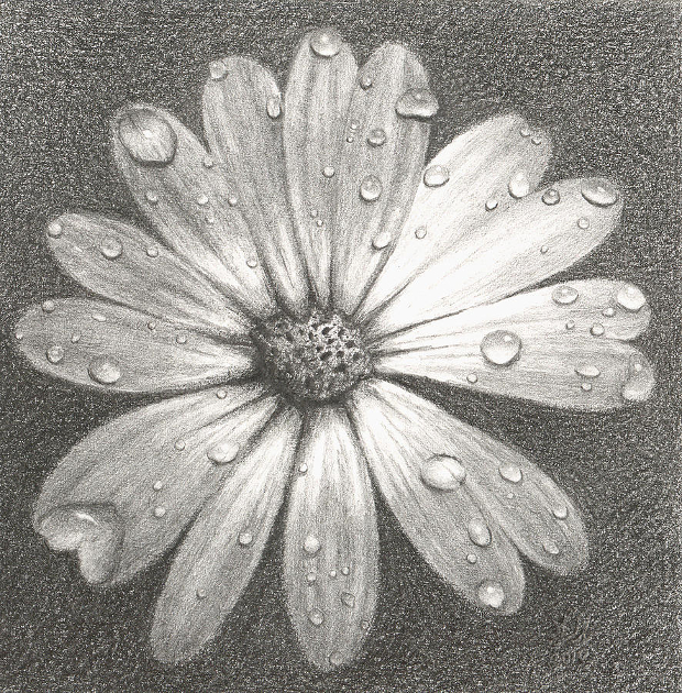 Realistic Flower Sketch at PaintingValley.com | Explore collection of