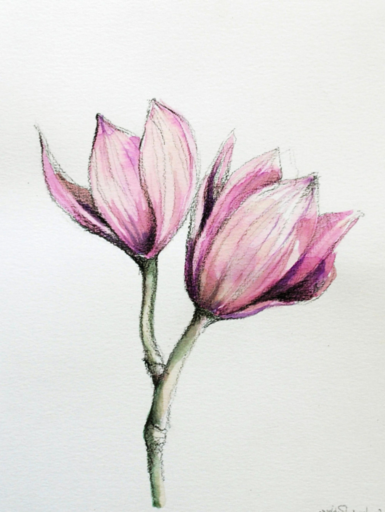 771x1024 Realist Flower Drawing Realistic Flower Drawing At Getdrawings - Realistic Flower Sketch
