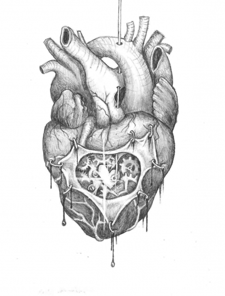 Realistic Heart Sketch At Paintingvalley Com Explore Collection Of Realistic Heart Sketch