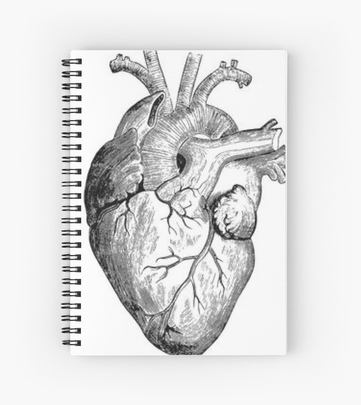 1171x1313 Realistic Heart Drawing Spiral Notebooks By Rockymountains - Realistic Heart Sketch