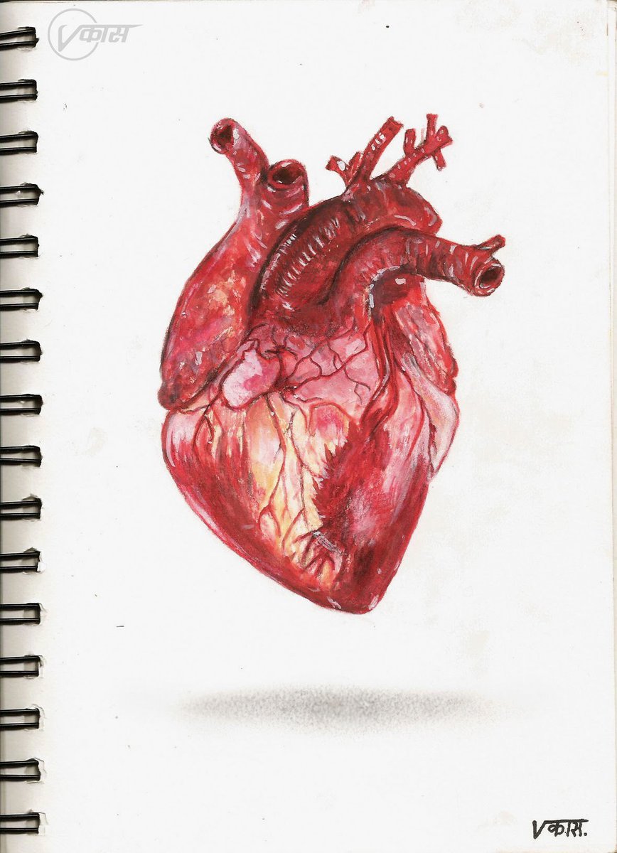 868x1200 Vikas Anil Awale Mns On Twitter - Realistic Heart Sketch