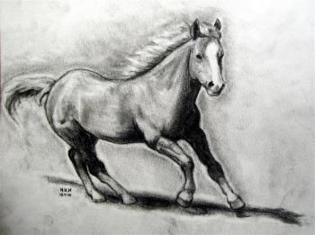 350x261 How To Draw A Realistic Horse, Draw Real Horse, Step By Step, Farm - Realistic Horse Sketch