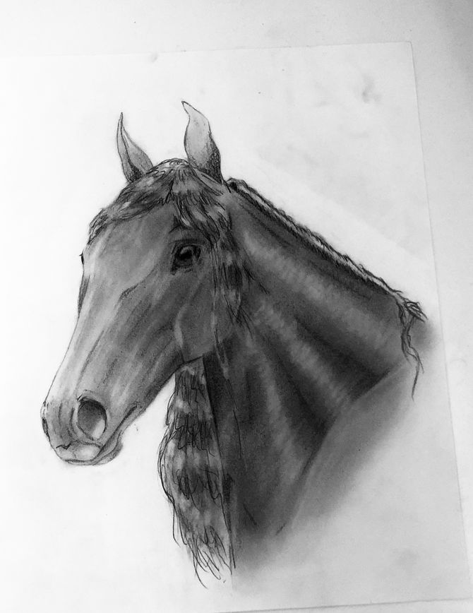 670x868 How To Draw A Realistic Looking Horse (With Pictures) - Realistic Horse Sketch