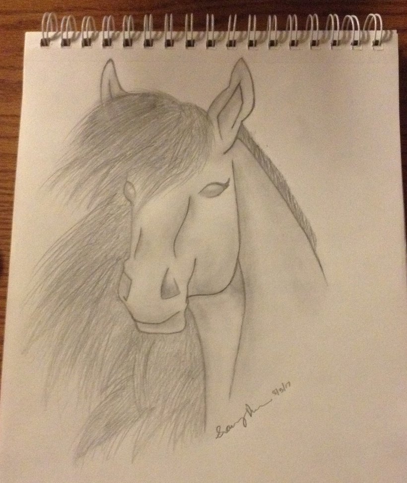 820x974 Realistic Horse Sketch By Twilightdemon0408 - Realistic Horse Sketch