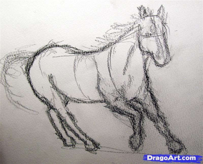 800x647 Drawn Horse Realistic - Realistic Horse Sketch
