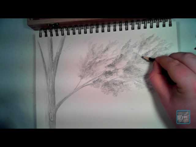 640x480 How To Draw Leaves 15 Steps (With Pictures) - Realistic Leaf Sketch