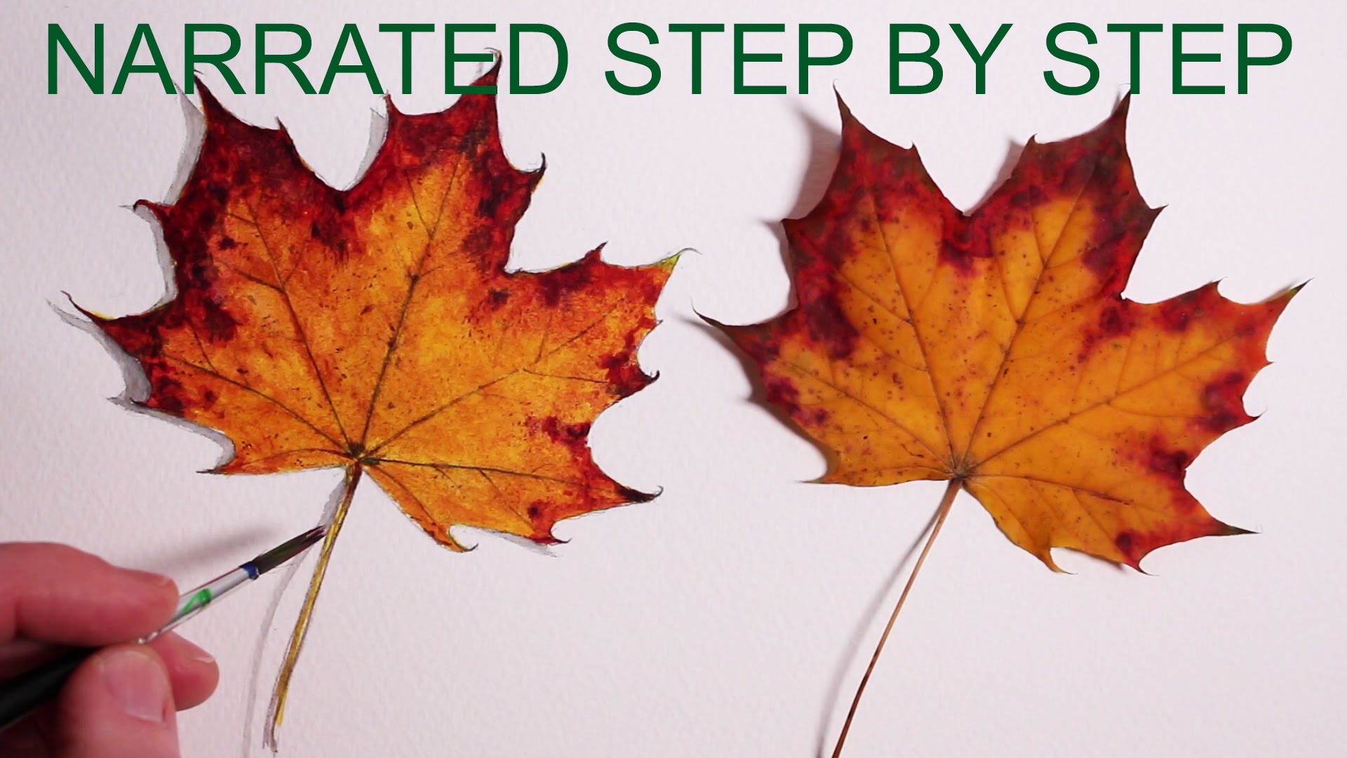 1920x1080 How To Draw A Leaf Narrated Step By Step - Realistic Leaf Sketch