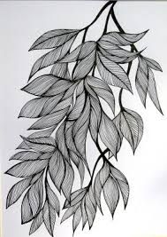 189x267 Image Result For Leaves Drawing Pen Drawing - Realistic Leaf Sketch