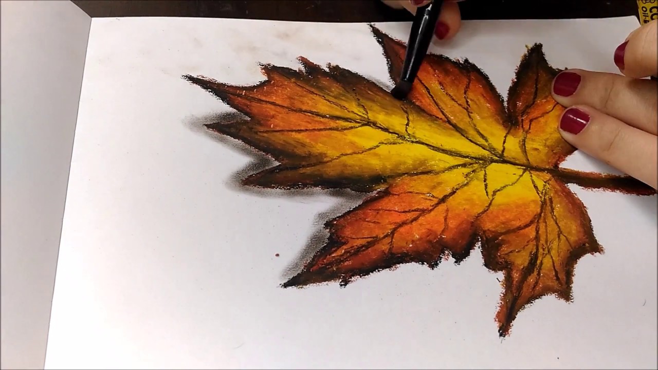 1280x720 Realistic Leaf Drawing Using Oil Pastel(Time Lapse) - Realistic Leaf Sketch